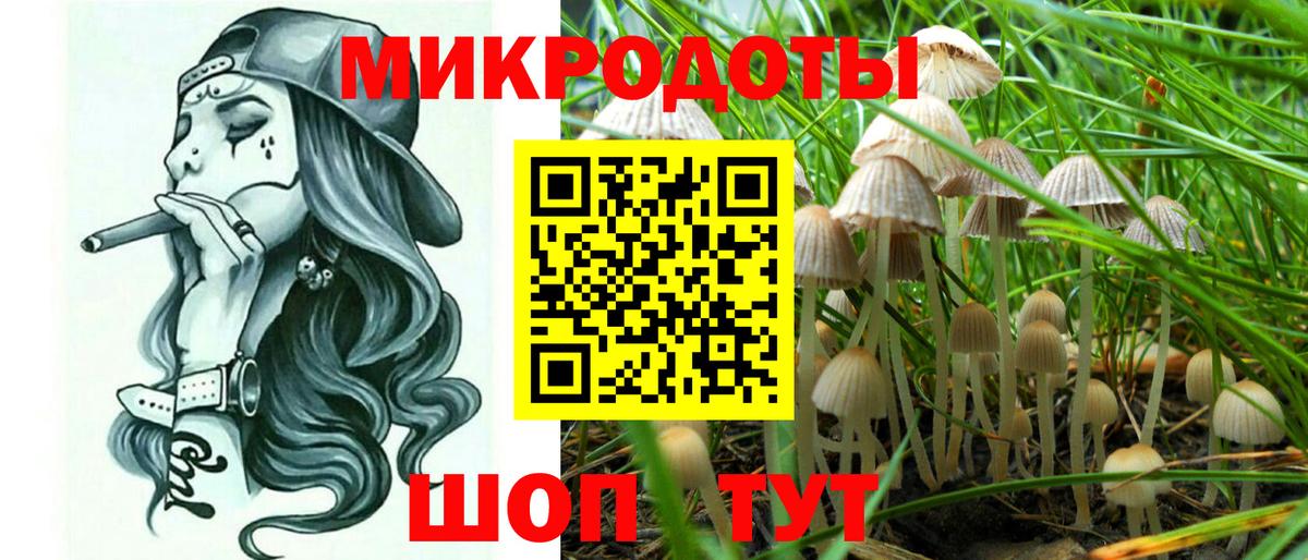 Нурлат  Галлюциногенные грибы Psilocybine cubensis  Вход с VPN  Галлюциногенные грибы Psilocybine cubensis 