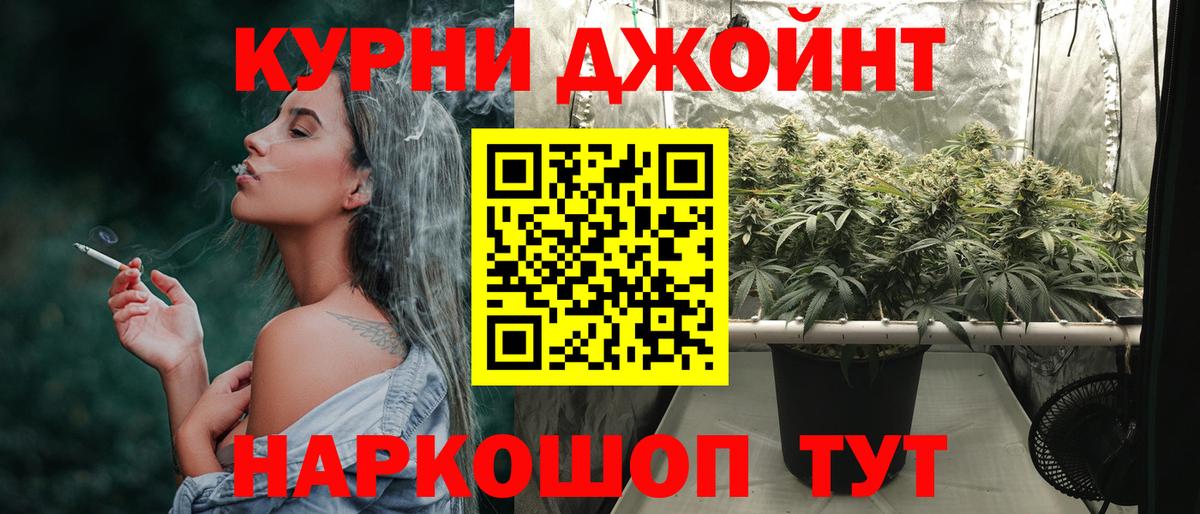 Канабис White Widow  Вход с VPN  Бошки Шишки White Widow  Конопля план  Нурлат 